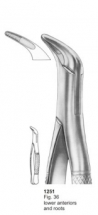  Fig. 36 lower anteriors and roots 